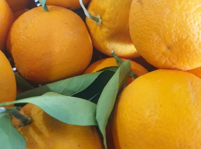 Hotel Riviera Seaside By Estia 3*