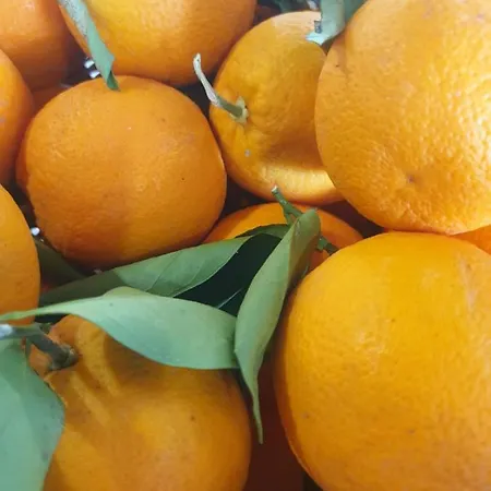 Hotel Riviera Seaside By Estia 3*